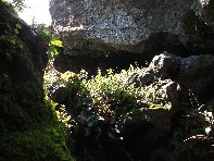 otte Scorciavacca20110306 082
